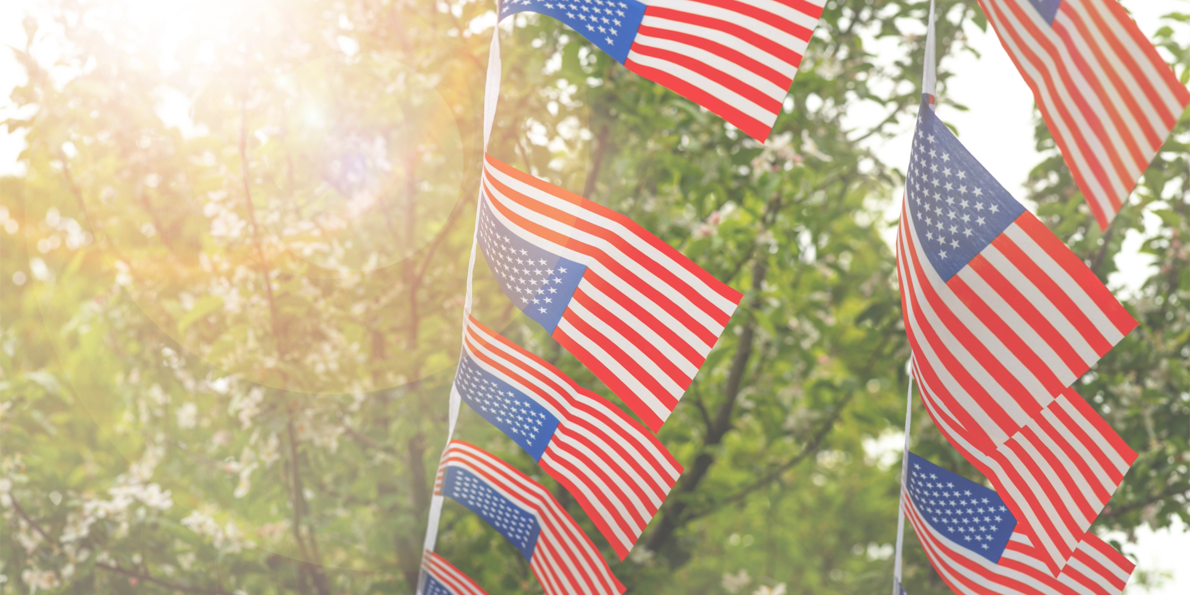 American flags hanging in sunlight for Independence Day